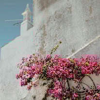 Photo of Grace