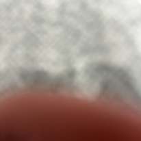 Photo of Tej