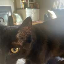 Photo of Jenny