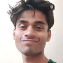 Photo of Ankit