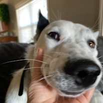 Photo of Mal