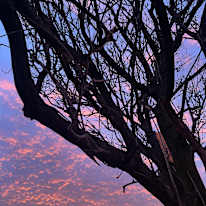 Photo of Ola