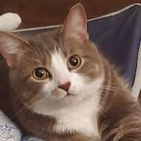 Photo of Tyrese
