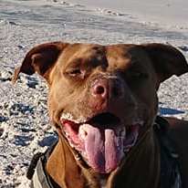 Photo of Sammy