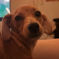 Photo of Delna