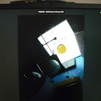 Photo of Miss Renee K. Taylor-BA-French