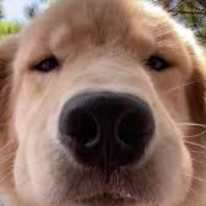 Photo of Ben