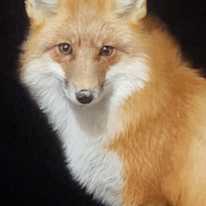 Photo of kim martel