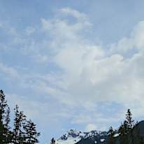 Photo of Co