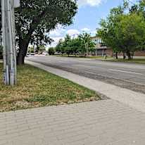 Photo of Momo D.