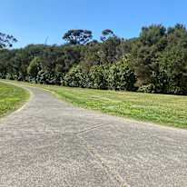 Photo of Lib