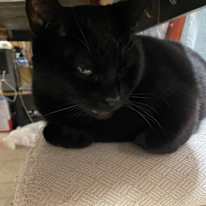 Photo of Alice