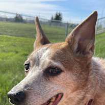 Photo of Raquel