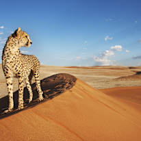 Photo of pramod