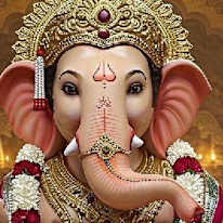Photo of Vinod Boriecar