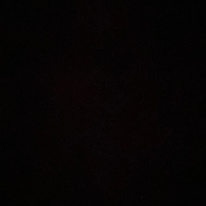 Photo of Tej
