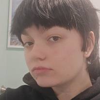 Photo of Hawk