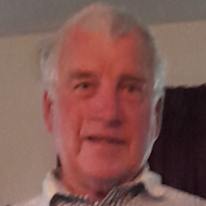 Photo of bob