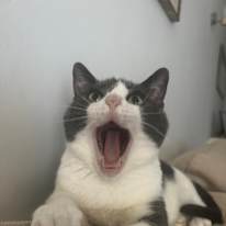Photo of Nat