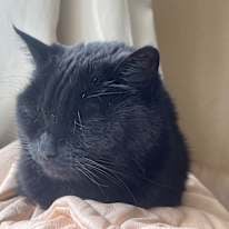 Photo of Bobby