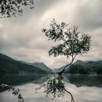 Photo of Lovepreet Kaur