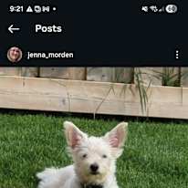 Photo of Jenna Morden