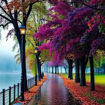 Photo of Farah Ashraf
