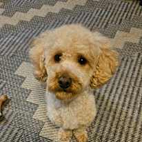 Photo of Marie Scott