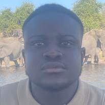 Photo of Treasure Midzi