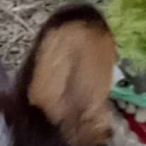 Photo of Edie