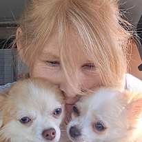 Photo of Donna Bickerstaffe