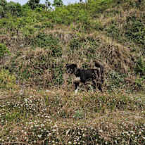 Photo of Meher