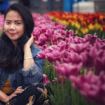 Photo of stella