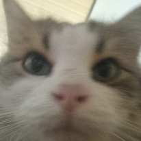 Photo of Byeori