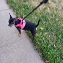 Photo of Dawn Alston