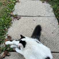 Photo of Theresa