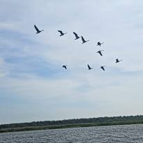 Photo of Ladj
