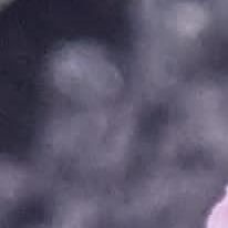 Photo of suzan