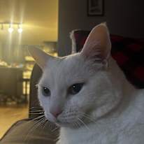 Photo of Jennifer