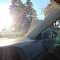 Photo of SHIFIN SHAJAHAN