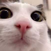 Photo of Dirk John Hart M.