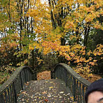 Photo of Jenny Malandra