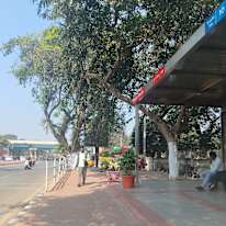 Photo of Soumya  Jena