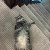 Photo of Cindy