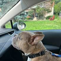 Photo of Peggy