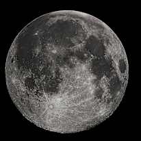 Photo of Praveen