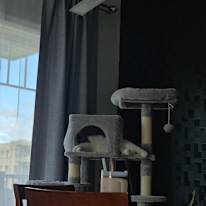 Photo of Kristin Kamfoley