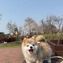 Photo of shin
