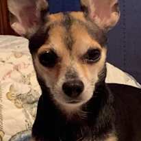 Photo of Lili
