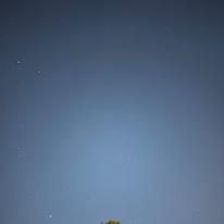 Photo of Sumbul